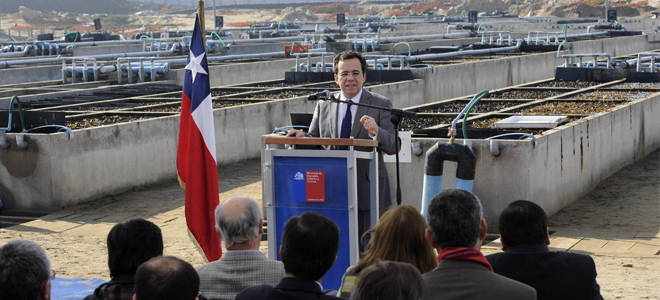 Ministro Céspedes valora conclusiones de los Diálogos de la Acuicultura y destaca posibilidad de integrar a la pesca artesanal en la cadena de valor