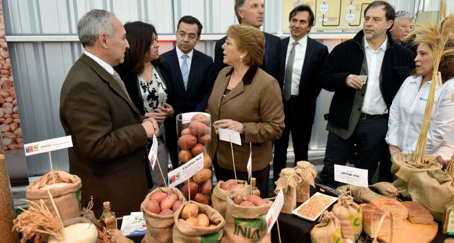 Gobierno lanza programa para potenciar a Chile como líder en la exportación de alimentos saludables innovadores