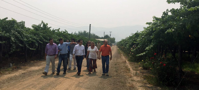Ministro Céspedes visita zonas afectadas por incendio en VI Región