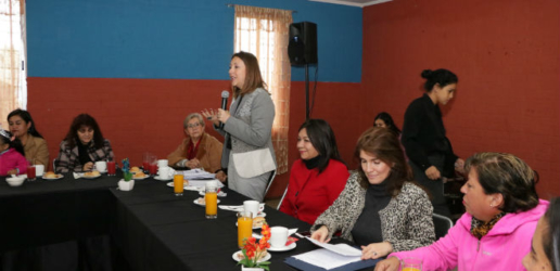 Ministra (s) Natalia Piergentili destacó participación femenina en Cooperativas