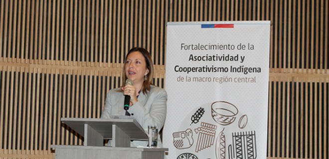 Subsecretaria de Economía destacó trabajo que se realiza para fortalecer trabajo de las Cooperativas en los pueblos originarios del país