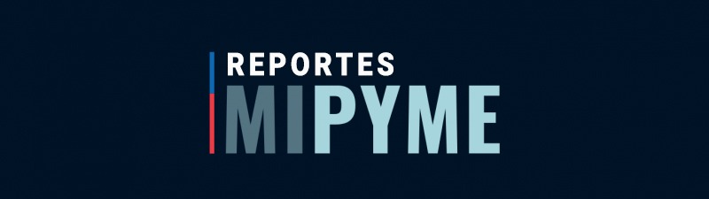 REPORTES MIPYMES