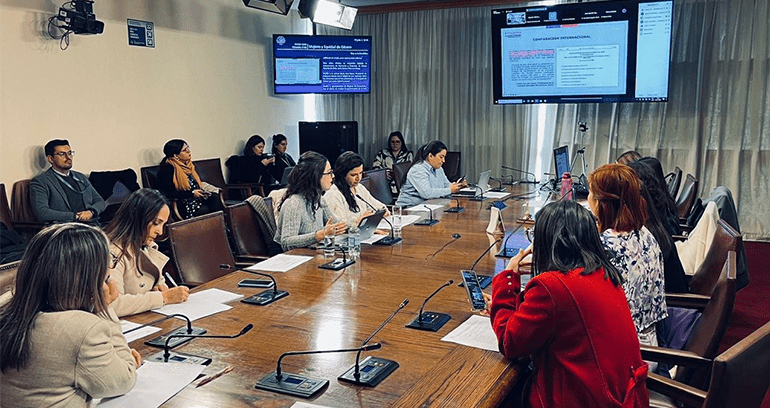 Tras acuerdo con organizaciones de la sociedad civil: Subsecretaría de Economía presentó indicaciones al proyecto “Más Mujeres en Directorios”