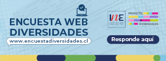 https://www.ine.gob.cl/encuestadiversidades