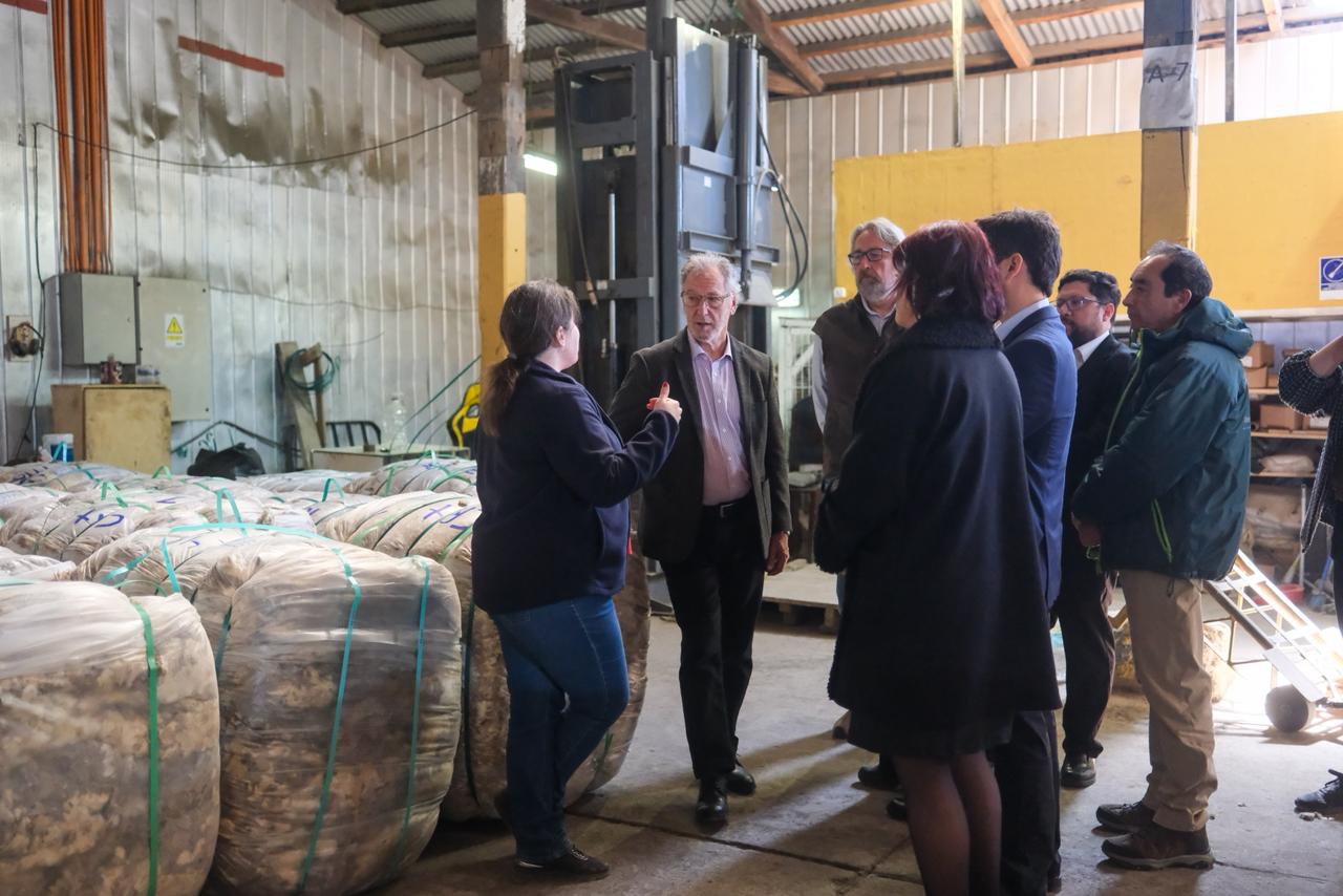 Acuerdo de exportación de lana abre acceso al mercado de India y consolida una oportunidad histórica para el rubro ganadero