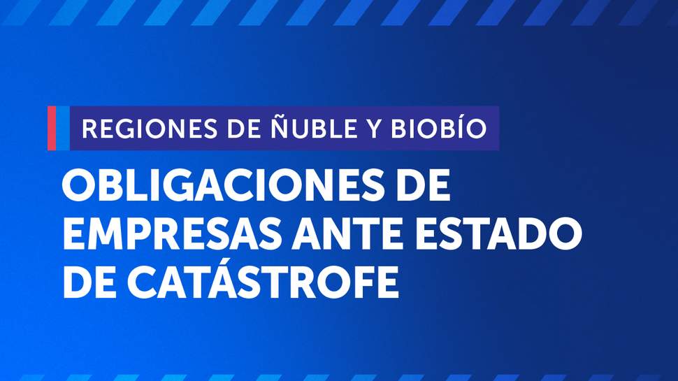 Sernac recuerda obligaciones de las empresas ante estado de catástrofe por incendios en regiones de Ñuble y Biobío
