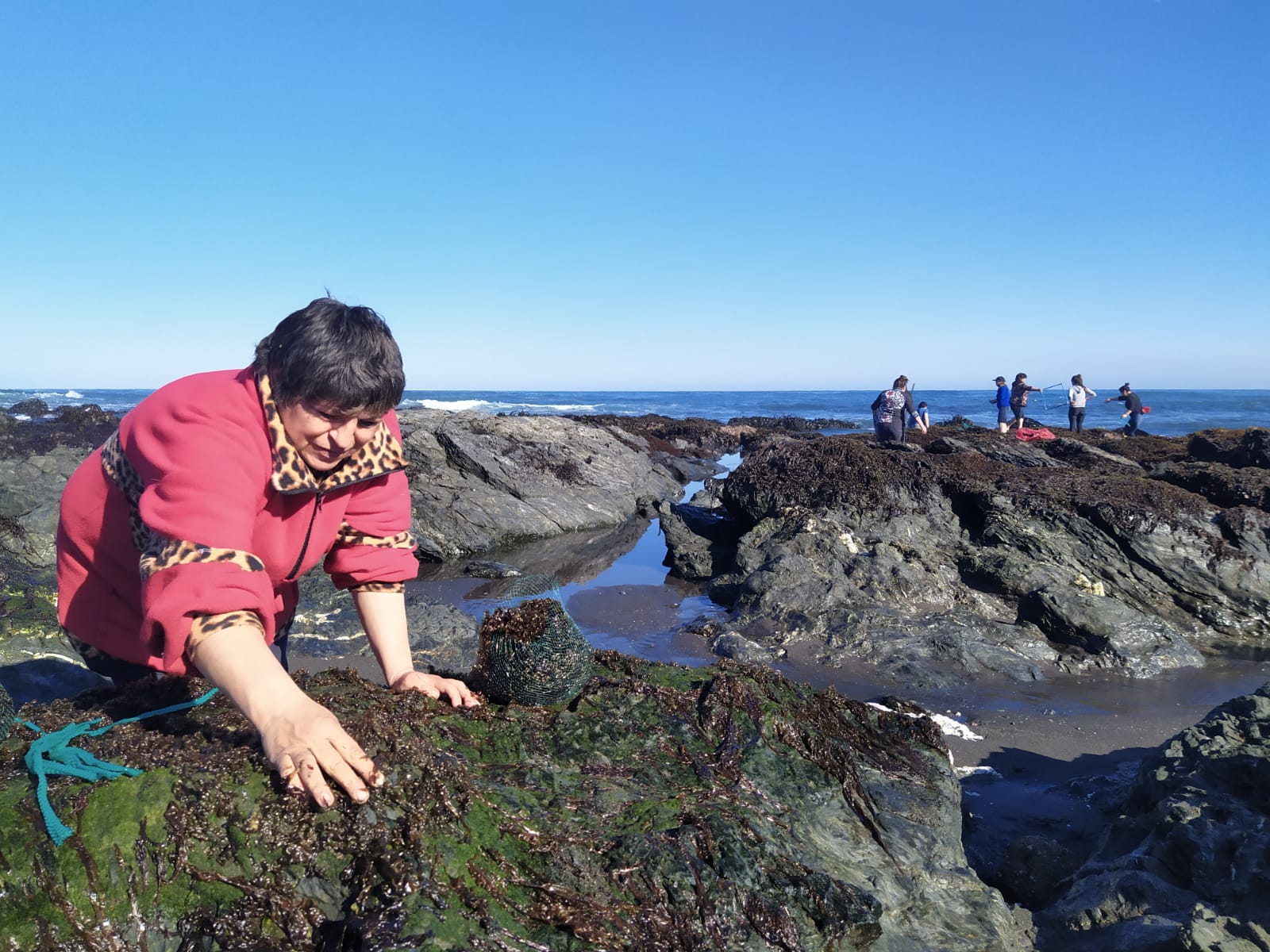 Informe de Subpesca revela alza de participación femenina en los sectores Pesquero y Acuícola durante 2025