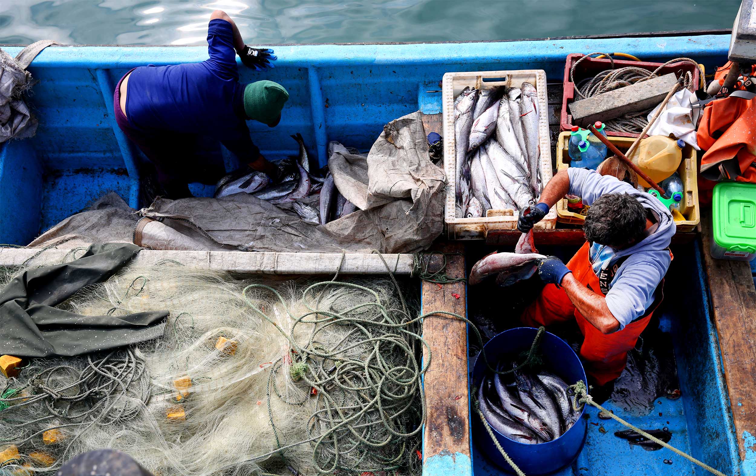 Subpesca simplifica permisos de pesca de investigación para muestreos ambientales y refuerza protección de especies vulnerables