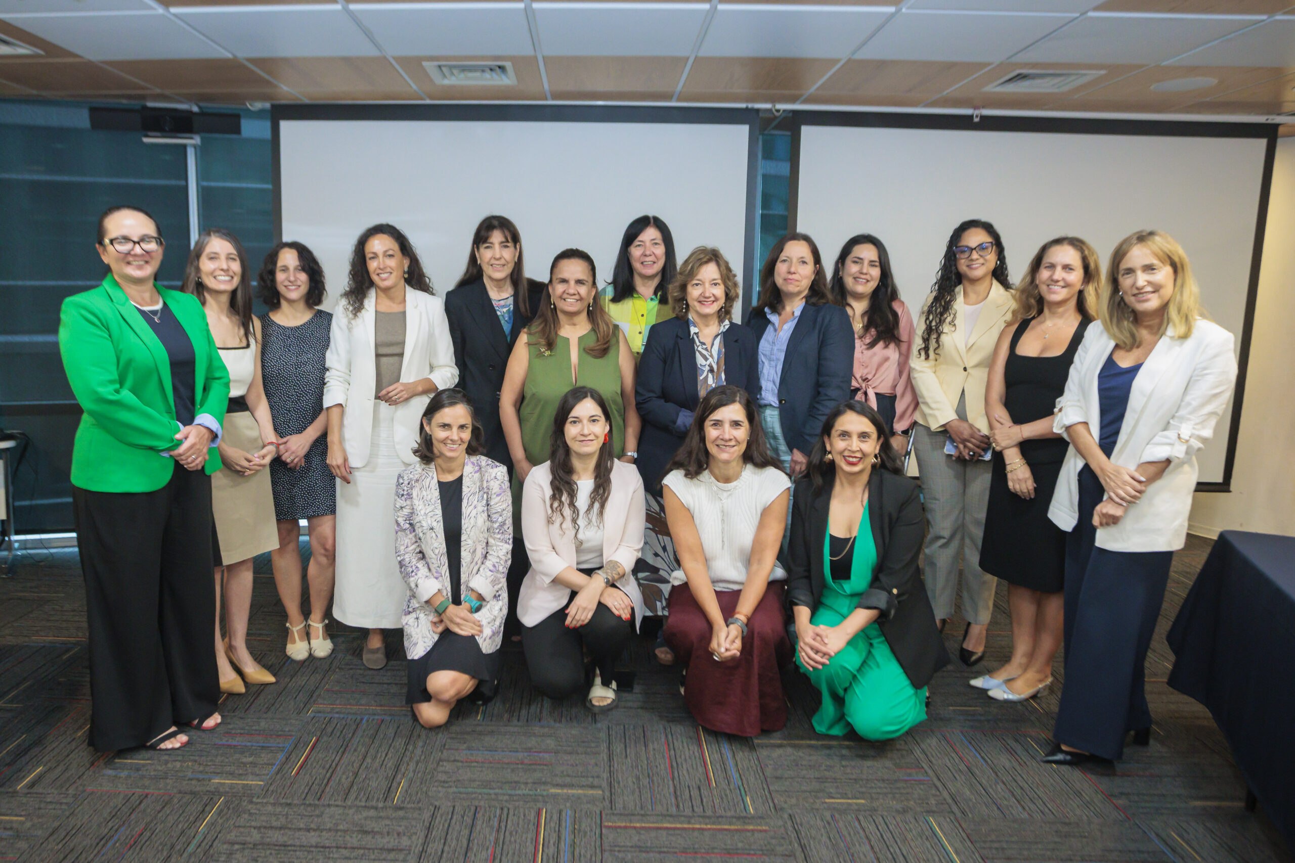 A días del 8M: Subsecretaría de Economía realiza encuentro con gremios para abordar implementación de la ley Más Mujeres en Directorios