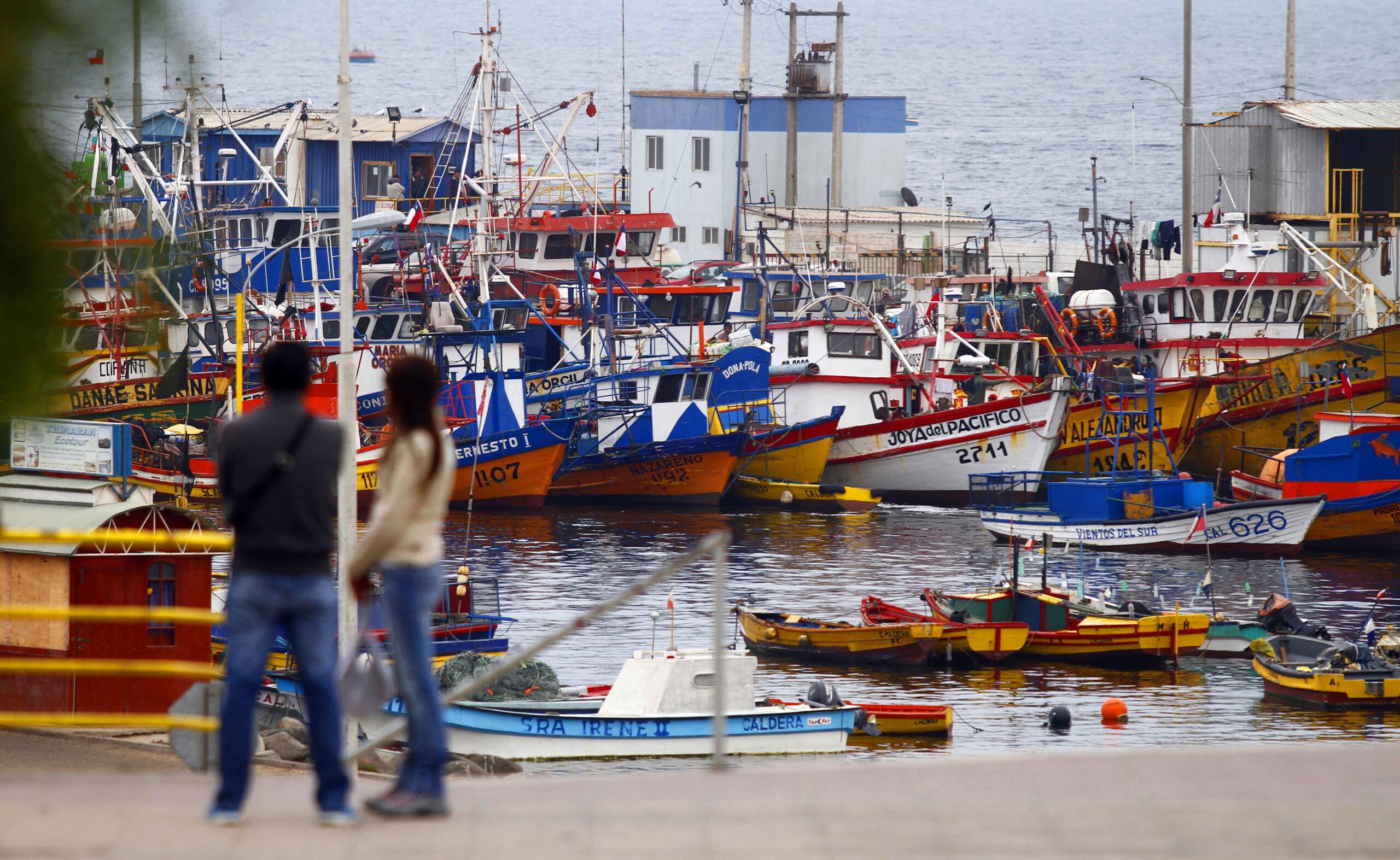 Destacando su modelo de administración pesquera, Chile participó en el Subcomité de Ordenación Pesquera de la FAO