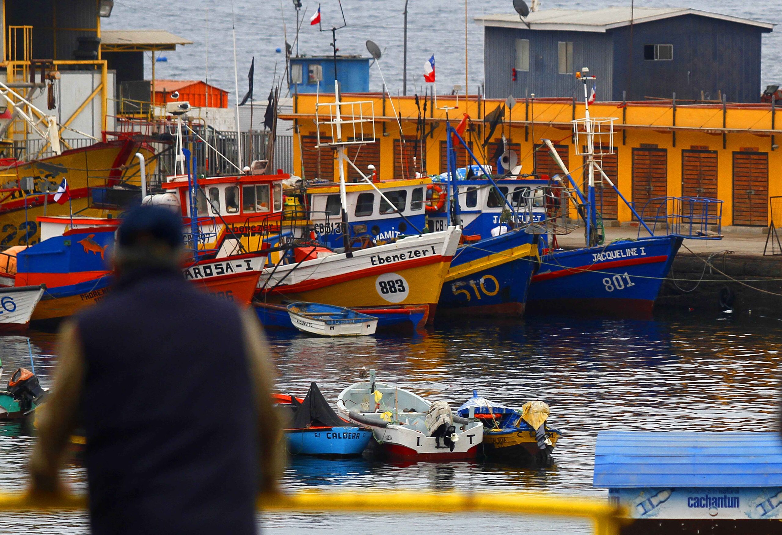 Gobierno de Chile retira el proyecto que establece una nueva Ley General de Pesca
