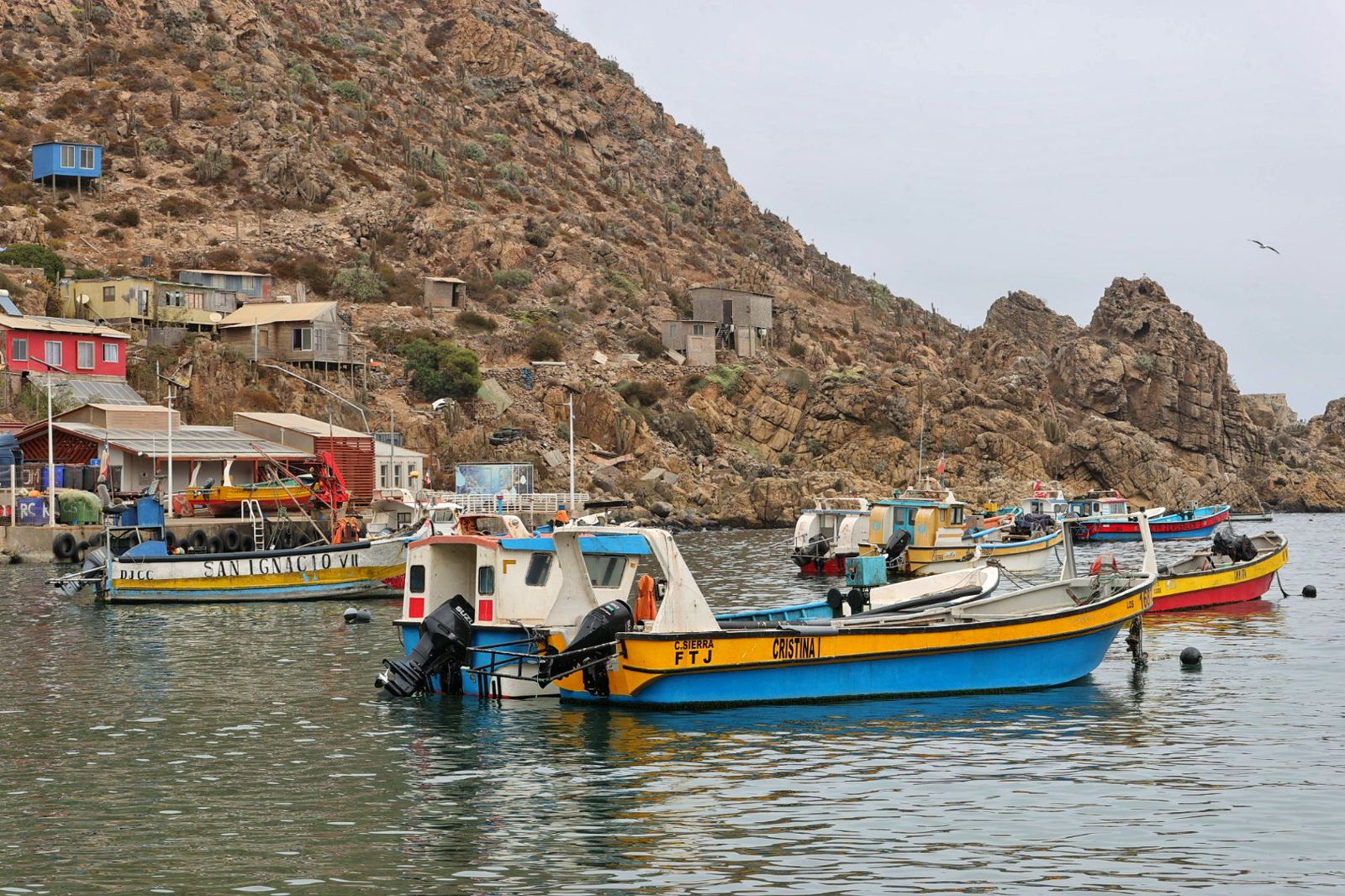 Se realiza primer traspaso bajo nueva Ley de Caletas en la región de Coquimbo
