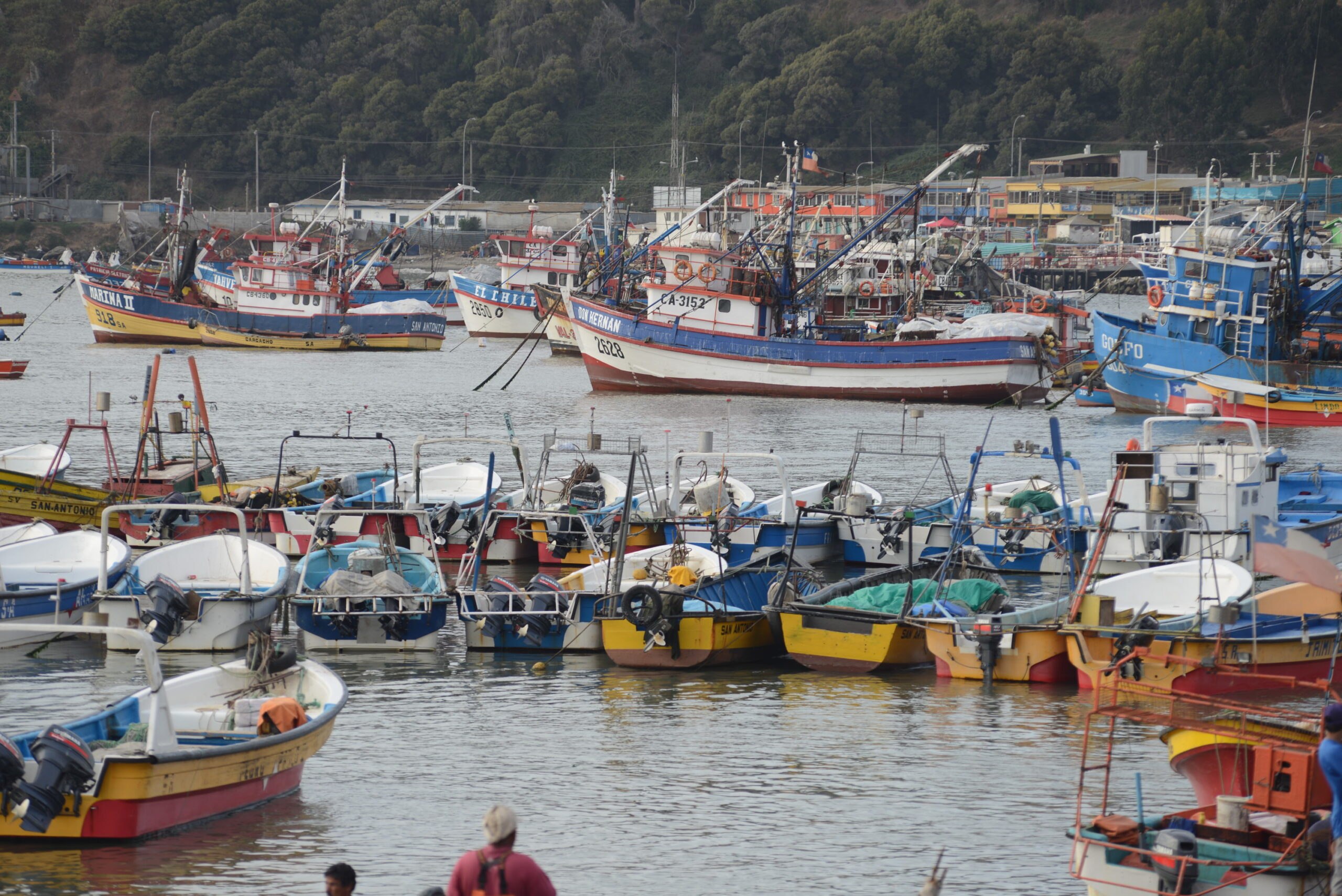 Gobierno presenta medidas para mitigar impacto del alza de precio de combustibles en la pesca artesanal