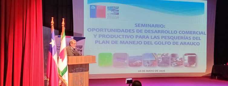 Seminario en Concepción abordó oportunidades de desarrollo comercial y productividad de la pesquerías del Golfo de Arauco