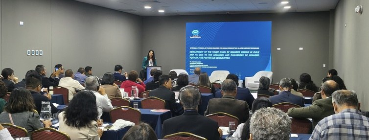 Subpesca representa a Chile en foro APEC para impulsar el cultivo de algas destinadas al consumo humano