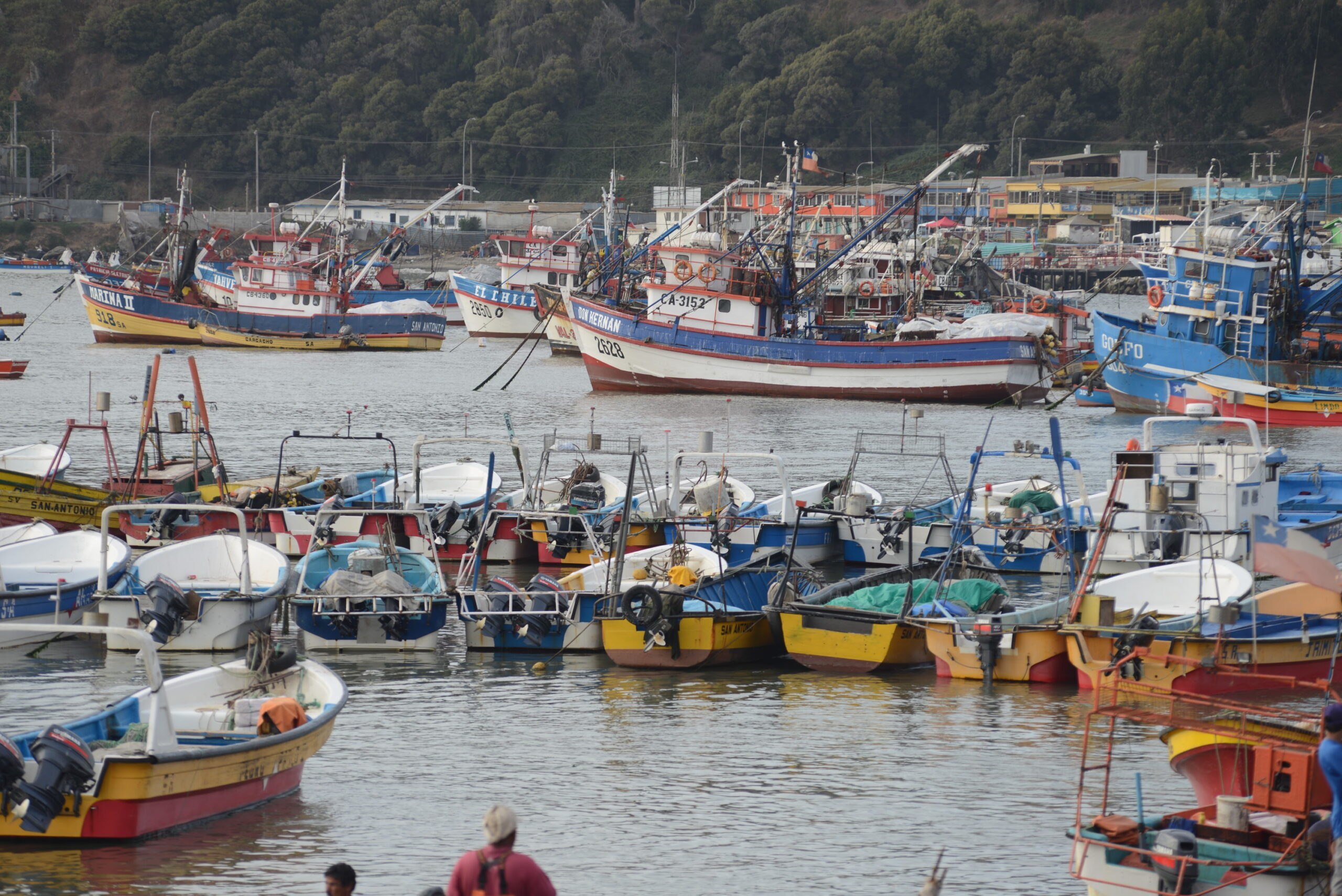 Por informe mundial de FAO: Subsecretario Urrutia destaca necesidad de fortalecer la gestión sostenible frente a desafíos globales de la sobrepesca